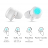 TFZ COCO Q1