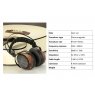 Sivga Audio P-II