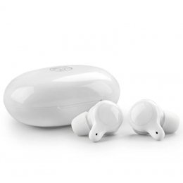 TFZ COCO Q1